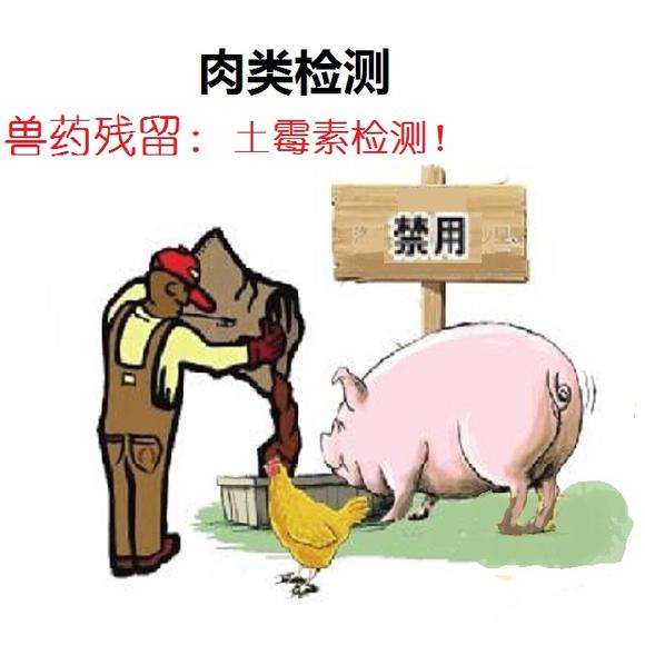 病害肉快速检测仪